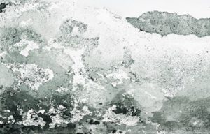 mold problem