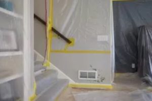 mold remediation service