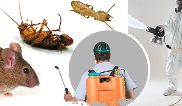 pests control